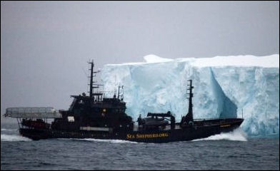 20111107-Sea Shepherd110106_BV_Bob_Barker_And_Iceberg.jpg